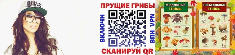 Псилоцибиновые грибы Psilocybe  OMG   Воркута 